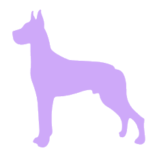 Great Dane